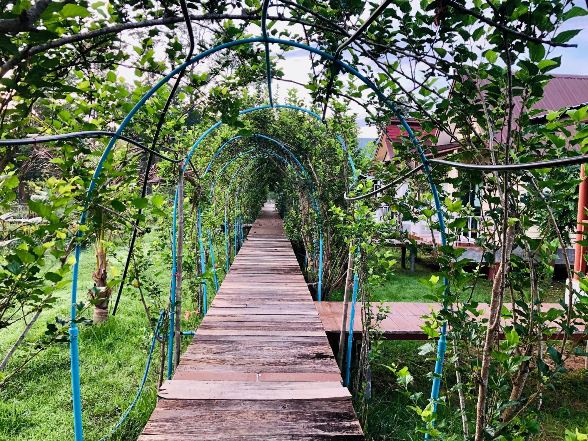 Baan Thung Home Stay Prasat Exterior photo