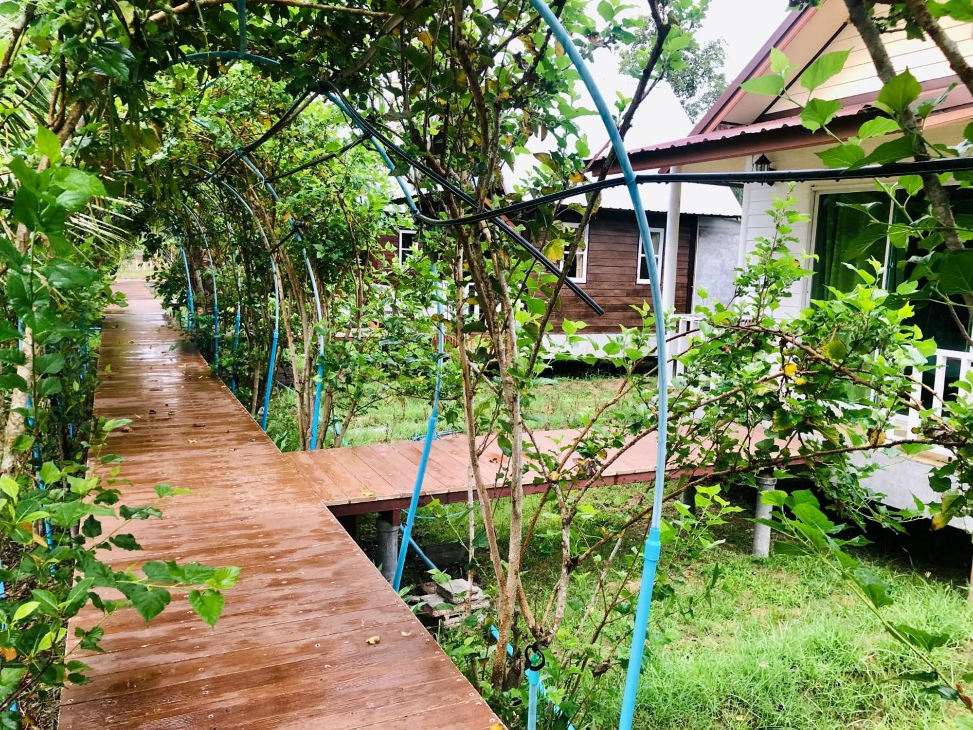 Baan Thung Home Stay Prasat Exterior photo