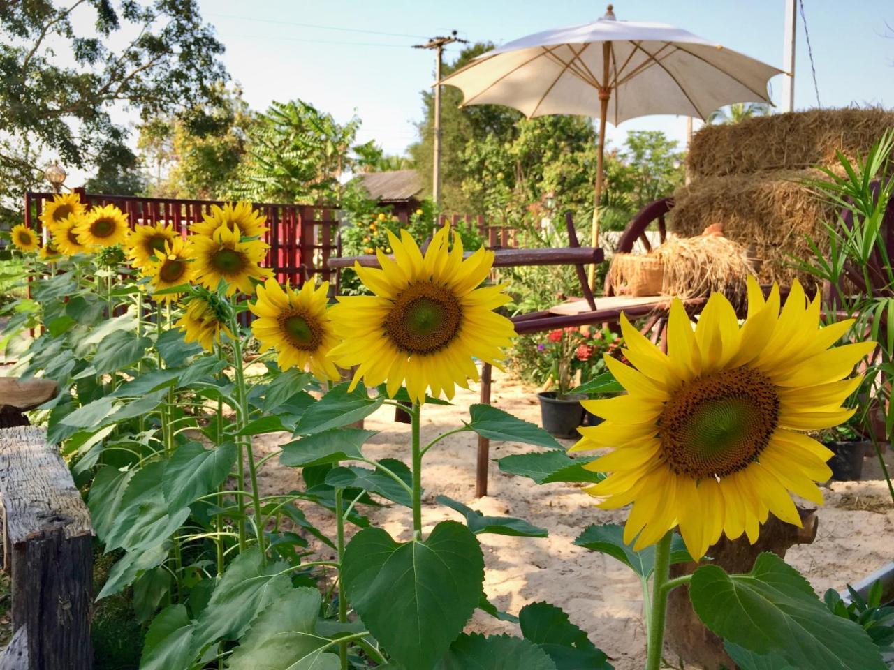 Baan Thung Home Stay Prasat Exterior photo