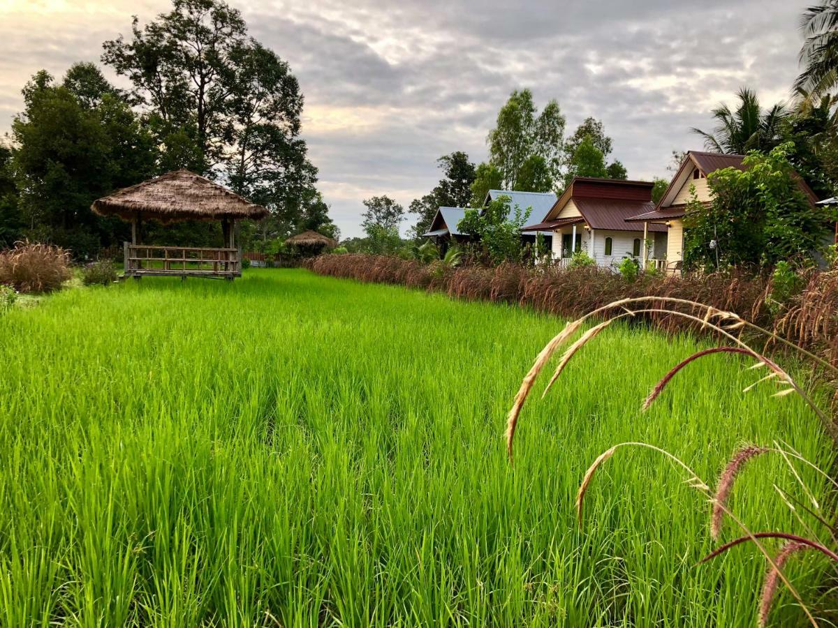 Baan Thung Home Stay Prasat Exterior photo